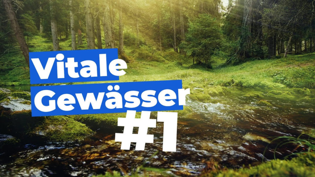 Logo Vitale Gewässer